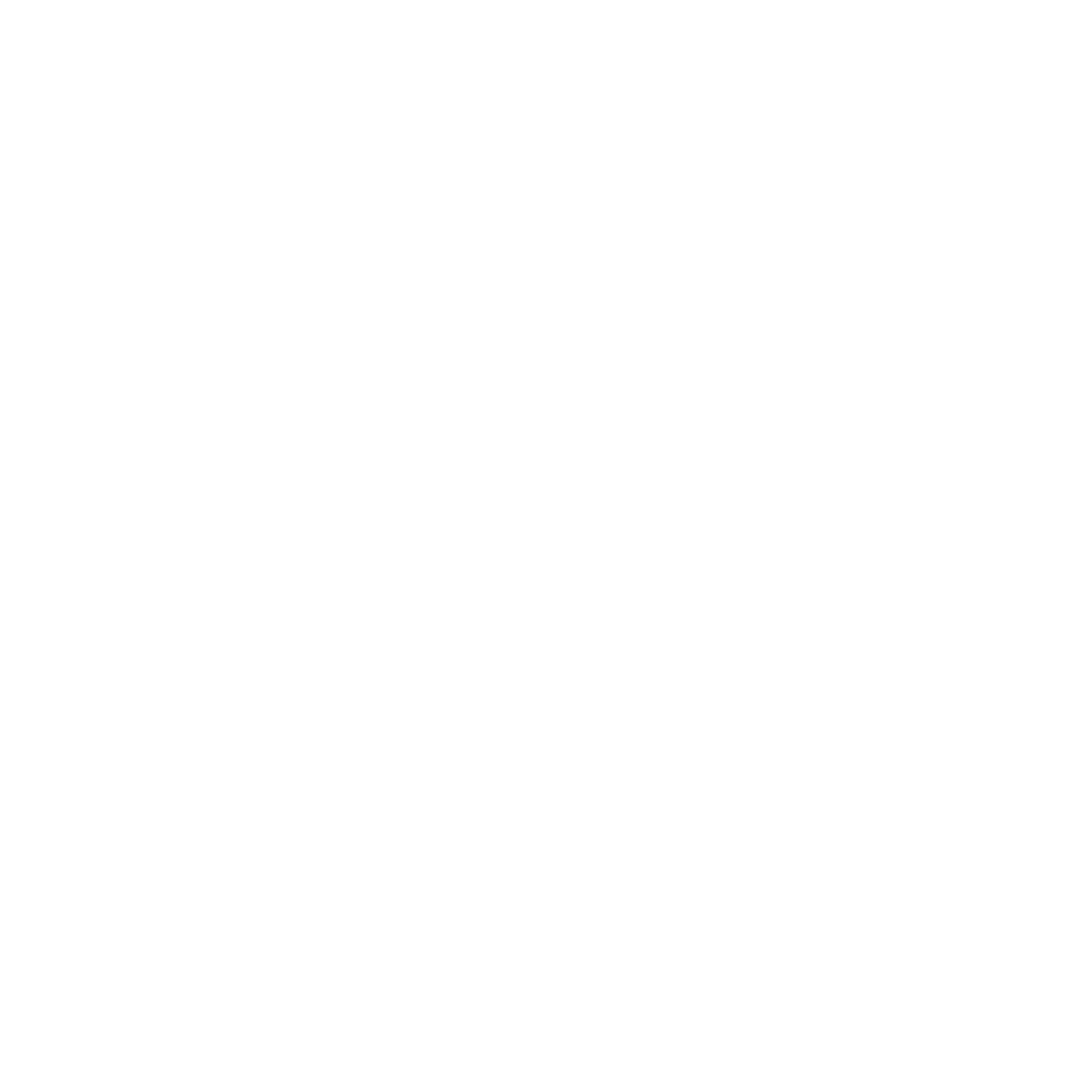Pressure Washers