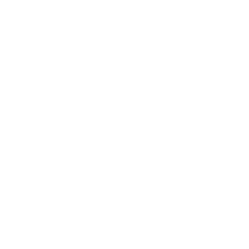 Toys & Merchandise