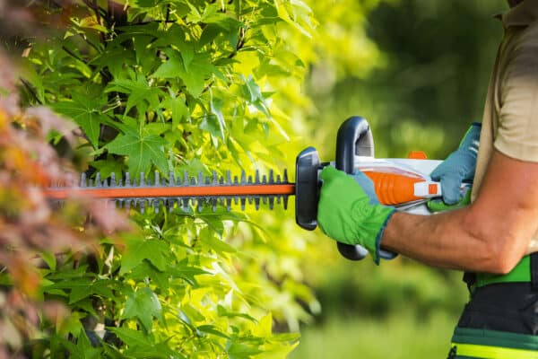 How to Use a Hedge Trimmer | Top Tips for Operating Safely