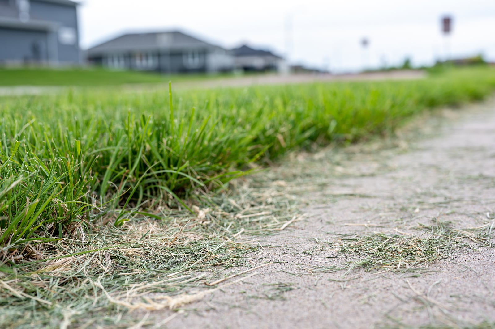 Grass clippings on the pavement after mowing the lawn 