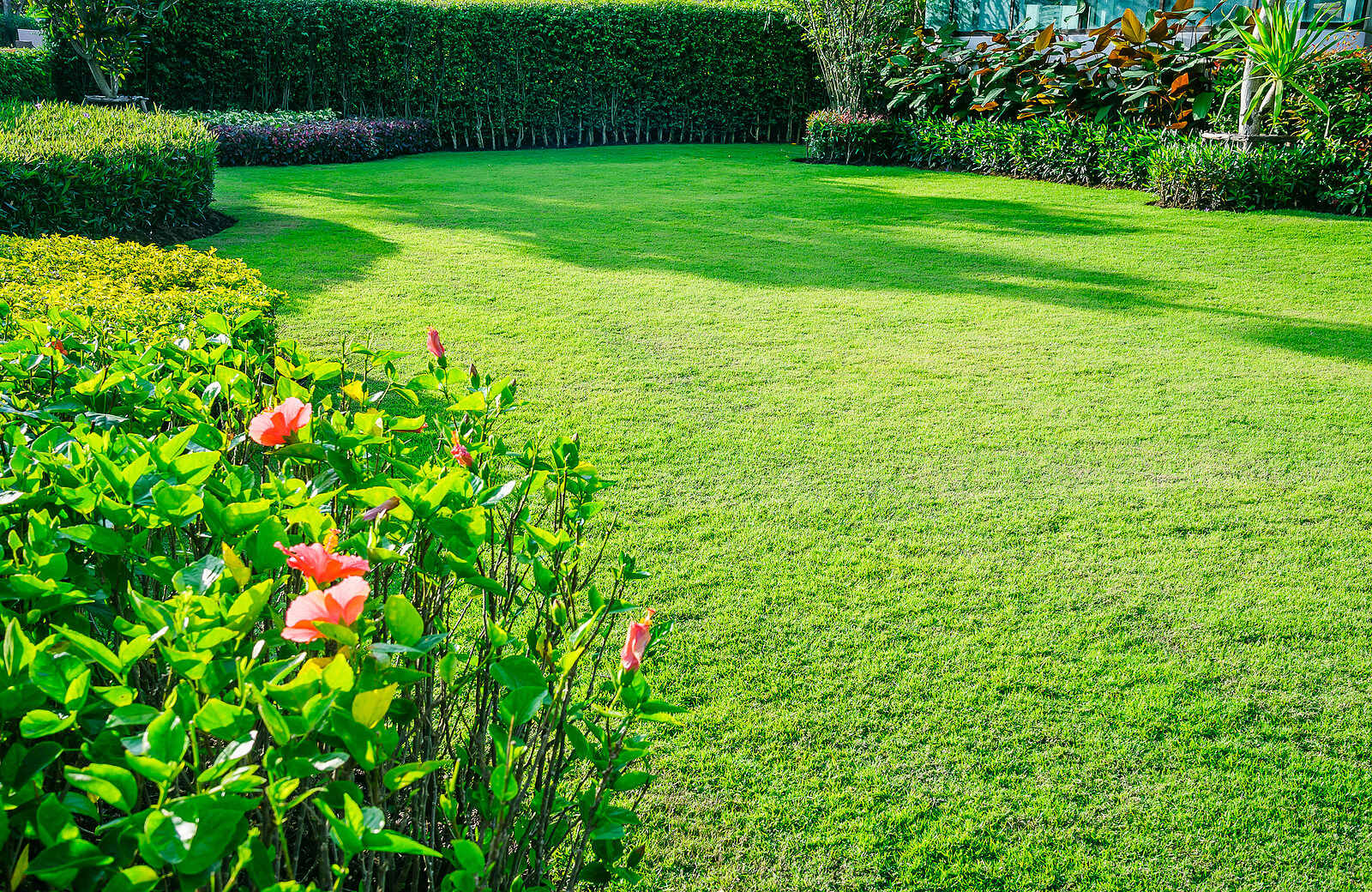 freshly cut green grass with a pink flowering bush