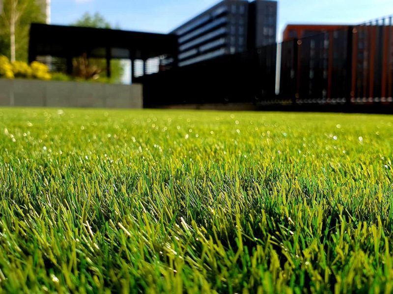 freshly cut grass on a summery day with buildings in the background