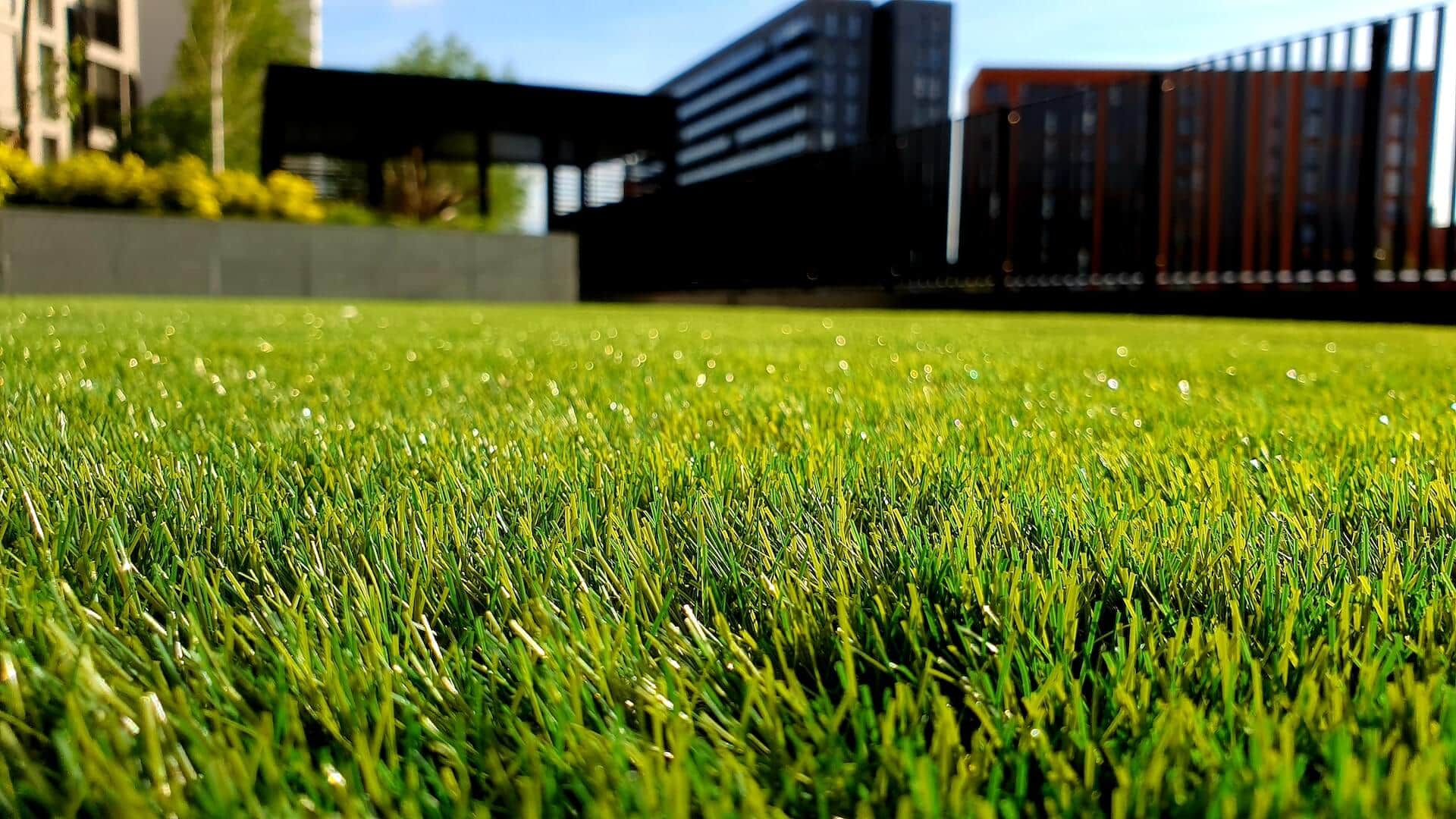 freshly cut grass on a summery day with buildings in the background