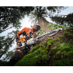 An arborist in orange protective gear uses a STIHL chainsaw to cut into a moss-covered tree trunk, with wood debris flying.
