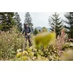 STIHL FS 131 Petrol Brushcutter