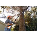 STIHL HTA 50 Cordless Pole Pruner (TOOL ONLY) - Image 3