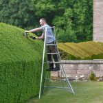 Hendon 3 Leg Adjustable Tripod Ladder - Image 2