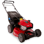 Toro Recycler® S53VST 21" Variable Speed Mower (21753)