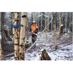 STIHL HTA 150 Pole Pruner (Tool Only) - Image 4