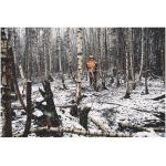 STIHL HTA 150 Pole Pruner (Tool Only) - Image 5