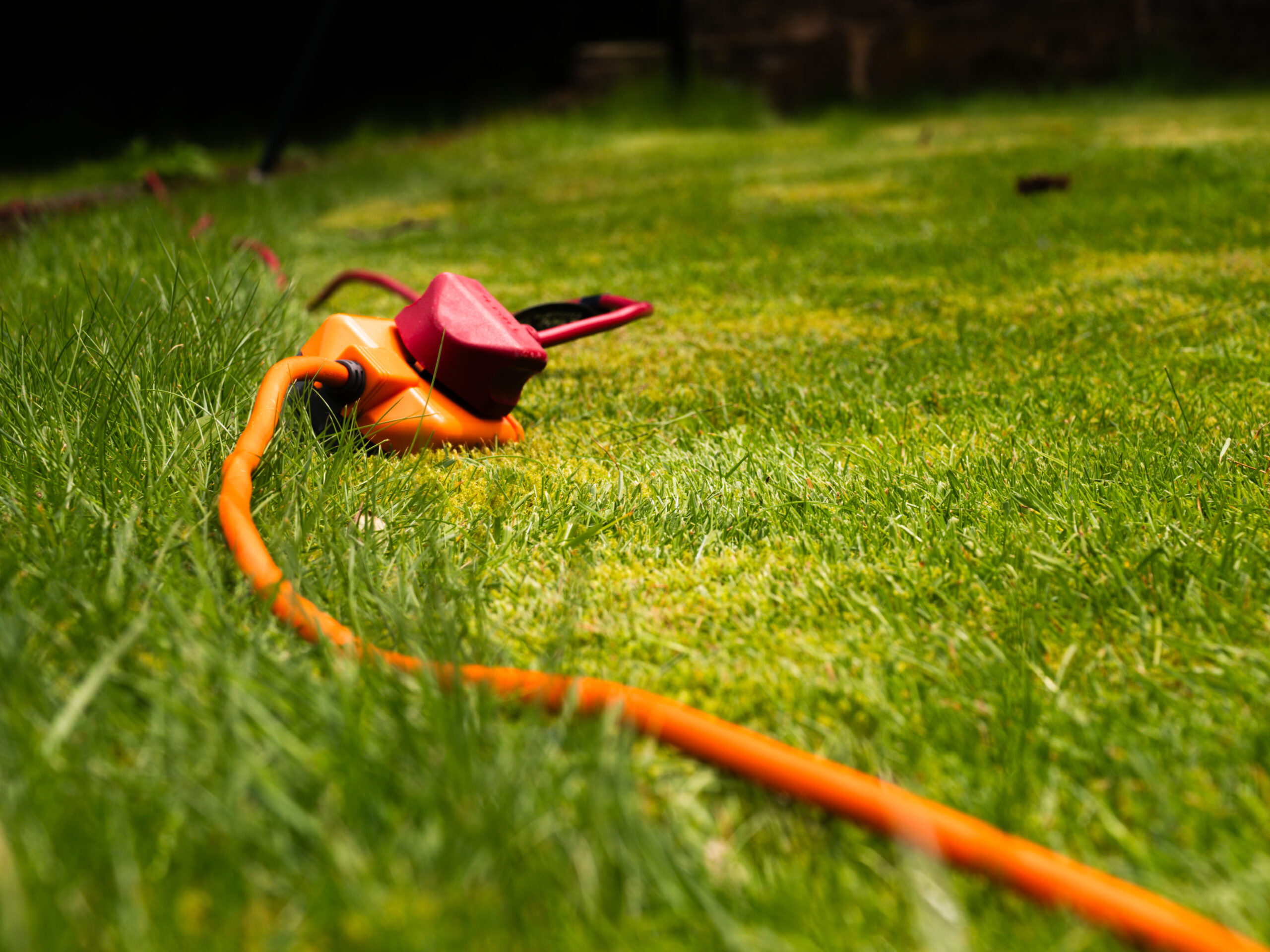lectric power extension cable in garden medium shot selective focus