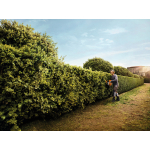 A man trims a tall garden hedge with a petrol hedge trimmer under a clear blue sky.