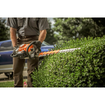 A person in a STIHL work polo trims a boxwood hedge with an orange and white STIHL hedge trimmer.