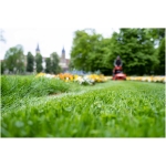 Ariens ARROW 36 36" Stand-On Mower - Image 4