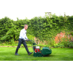 Allett Buckingham 24H 24" Petrol Cylinder Mower