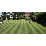 A person mows a large lawn creating neat green stripes in a landscaped garden surrounded by houses and trees.