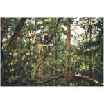 STIHL MSA 220.1 TC-O 14" Top Handle Chainsaw (Tool Only) - Image 10