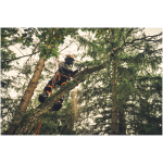 STIHL MSA 220.1 TC-O 14" Top Handle Chainsaw (Tool Only) - Image 9