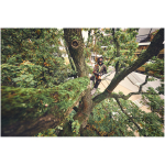 STIHL MSA 220.1 TC-O 14" Top Handle Chainsaw (Tool Only) - Image 8