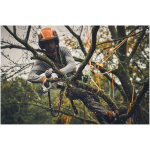 STIHL GTA 40 (AS) 6" Cordless Pruner (Kit) - Image 5