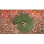 STIHL BRA 600.0 Backpack Blower (Tool Only) - Image 12