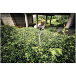 STIHL HLA 140 B Long Reach Hedge Trimmer (Tool Only) - Image 10