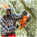 Echo CS-2511WES 12" Chainsaw - Image 4