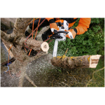 STIHL MS 201 TC-M 14" Top-Handle Chainsaw - Image 3
