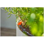 Gardena Micro-Drip-Irrigation Balcony Set (15 Plants) Irrigation Set - Image 7