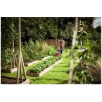 Mountfield HP41 15" Petrol Lawn Mower - Image 13