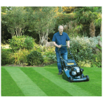 Hayter Harrier 56 22" Petrol Roller Mower with BBC (575) - Image 3