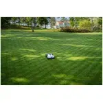 Husqvarna Automower® 450V NERA 7,500m² Robotic Lawnmower - Image 6