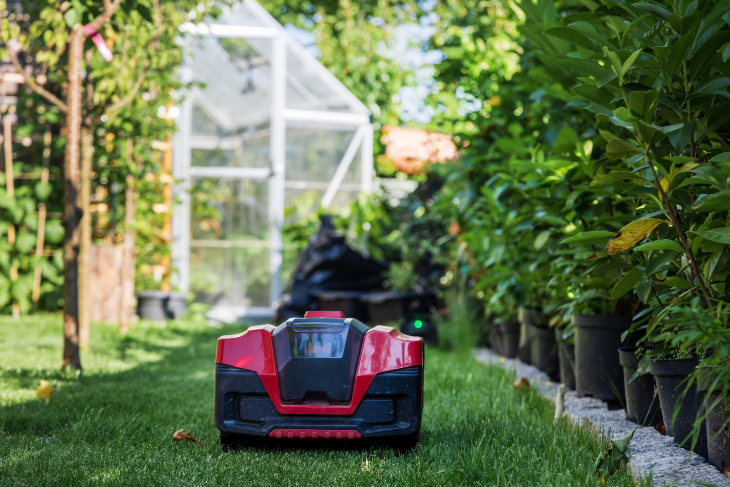Autonomous red robotic lawn mower cutting grass in sunny garden near shed. Modern smart gardening equipment for lawn maintenance. Background, place for text, copy space.