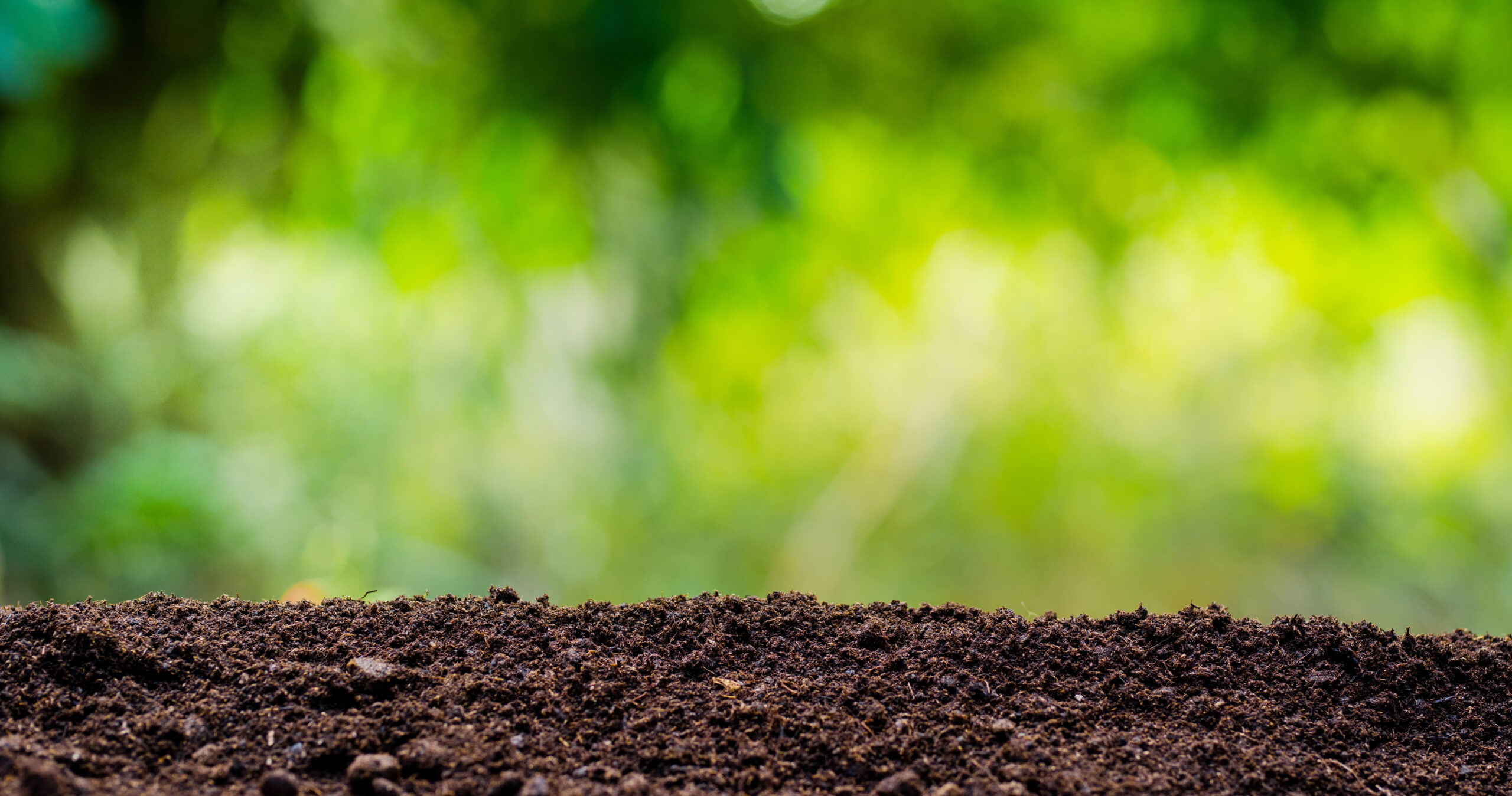 soil texture with green background for template design