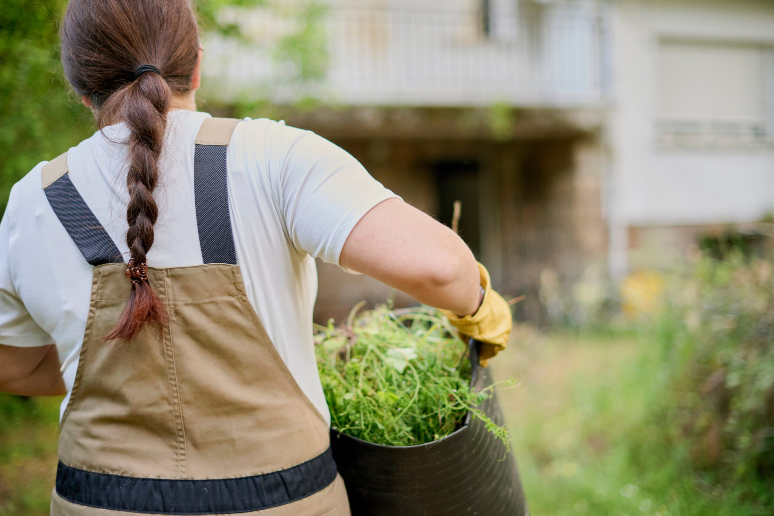 Female gardener with ponytail carries a heavy basket filled with grass clippings produced after mowing a garden during outdoor maintenance work.