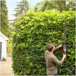 Honda HHH36BXB 26" Cordless Hedgetrimmer (Tool Only) - Image 3