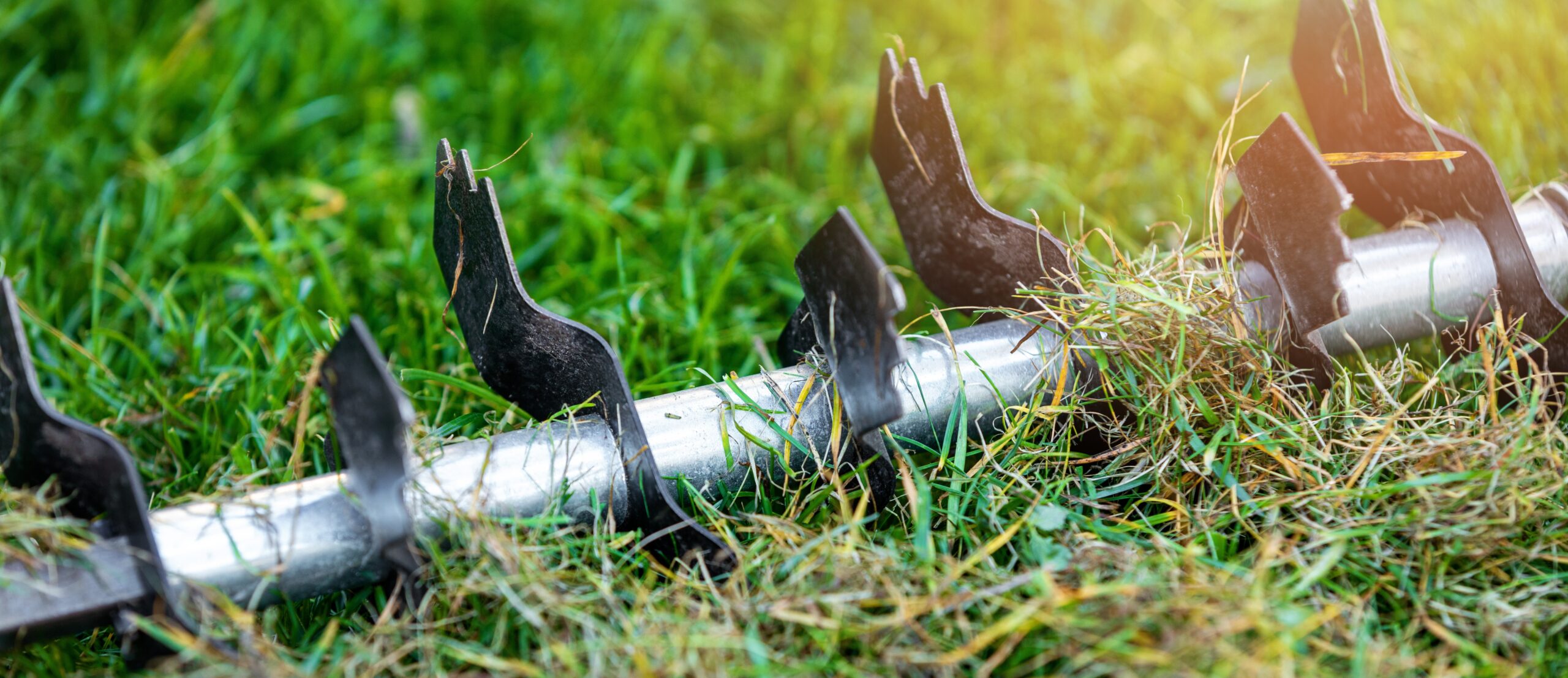 lawn care - old grass removal and soil aeration with scarifier