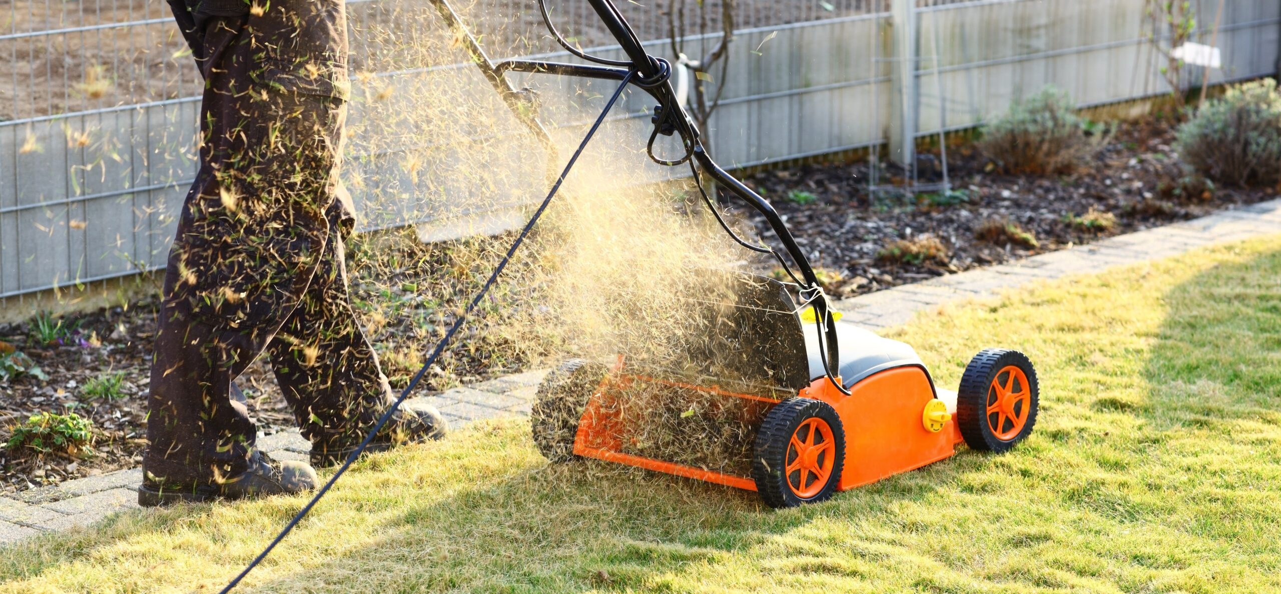 Using a scarifier to improving quality of the lawn