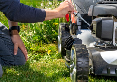 change and check the oil in the motor lawn mower.