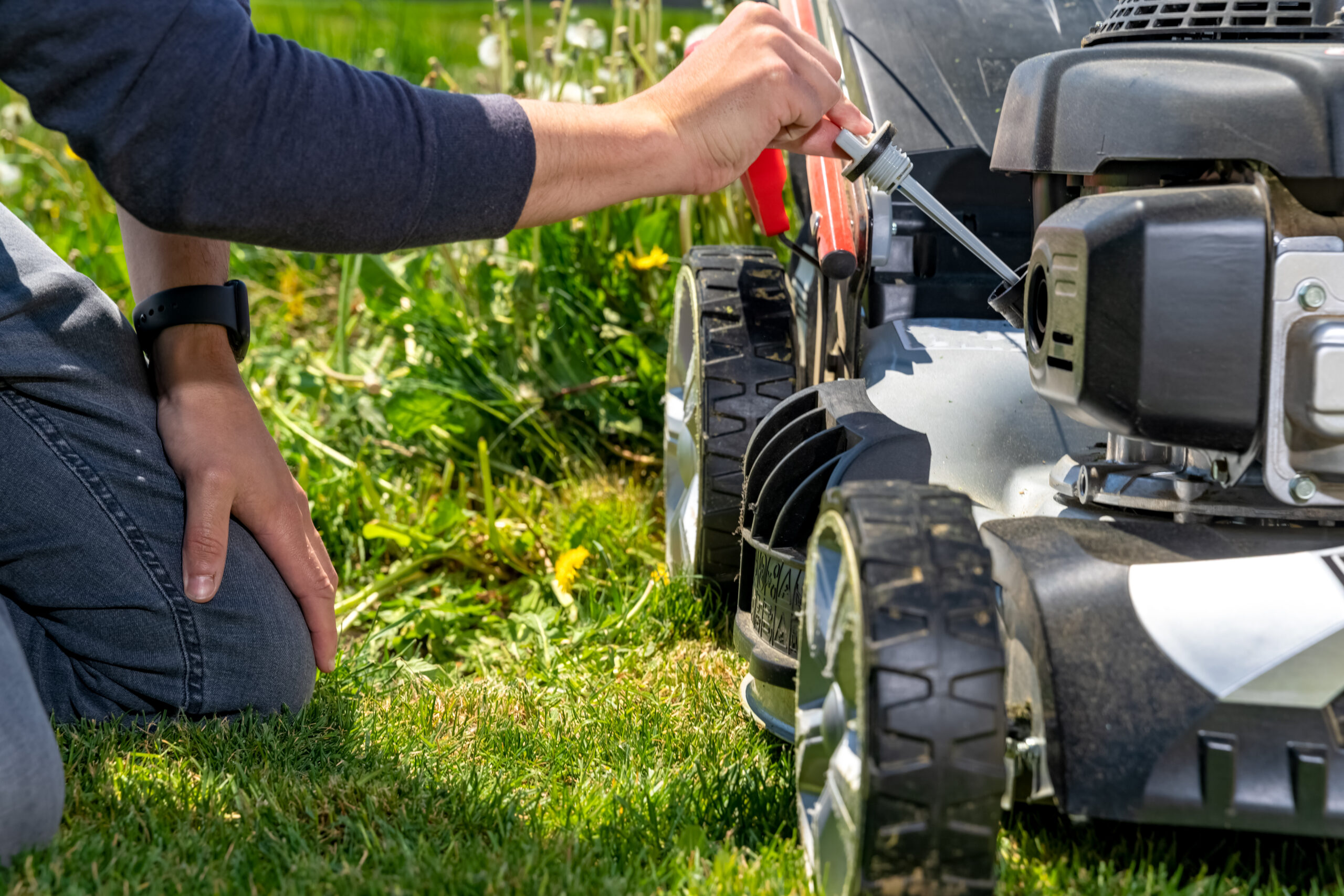 change and check the oil in the motor lawn mower.