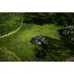 Robotic lawn mower operating in a well-maintained garden.